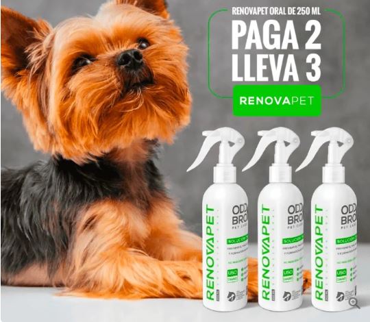 ADIÓS AL SARRO CON RENOVAPET 🐶😻|ENVIO GRATIS